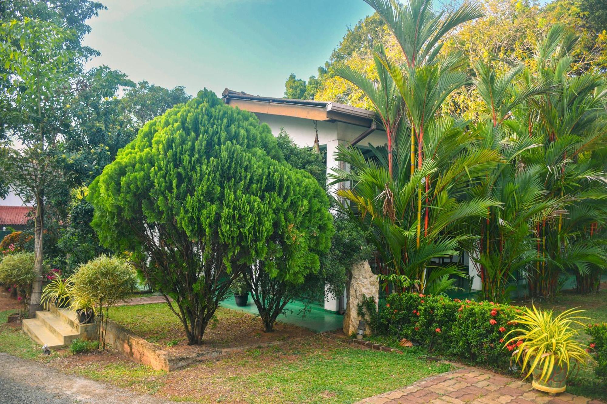 White Eagle Hotel Sigiriya Exterior photo